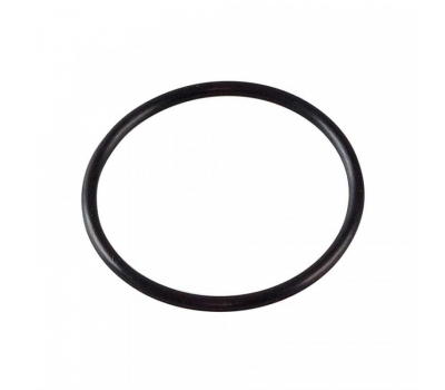 Уплотнительное кольцо 100 мм для фильтров ИТА-09, F9037